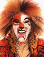 Joshua Donald, Tumblebrutus/Macavity, Oasis