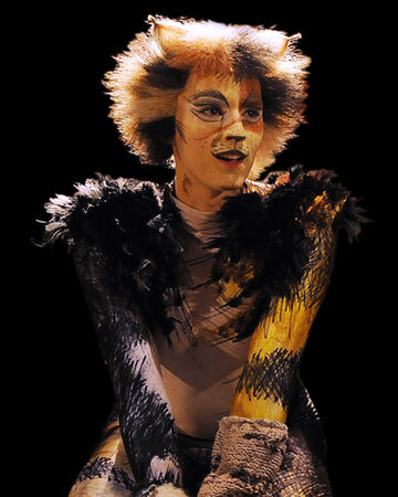 Carbucketty Cats Musical Wiki Fandom