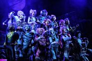 Pyramid Jellicle Songs RCCL Cast 12
