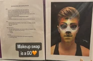 Mungojerrie (makeup reference)