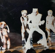 Rum Tum Tugger, Tokyo 1984