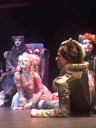Gus, Jemima, Tugger, Munkustrap