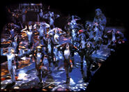 Jellicle Ball UK8906 14