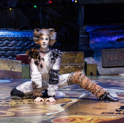 Asia Tour 2022-2023, 'Cats' Musical Wiki