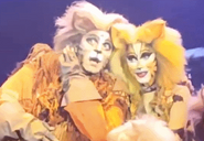 Gus and jelly mexico tour 2018.png (77 KB) Gus and Jellylorum