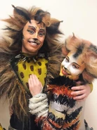Rum Tum Tugger (cover)
