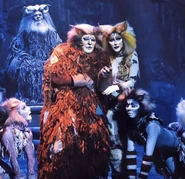 Gus Jelly Juan Naidelyn Mexico Tour 2018.jpeg (1.13 MB) Gus and Jellylorum