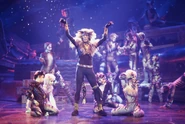 Rum Tum Tugger