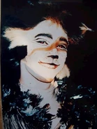 Tim van der Straeten