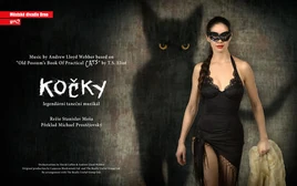 Cats Brno Poster