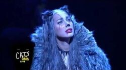 Broadway 2016 Cats Musical Wiki Fandom