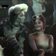 Plato Cass James Cooper Emily Keane Asia Tour 2014.jpg (37 KB) James Cooper