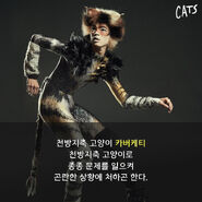 Carbucketty, Asia Tour 2017