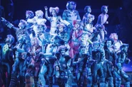 Jellicle Songs Pyramid RCCL Cast 10.jpg (724 KB) Ryan Lay