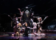 Rum Tum Tugger Fukuoka 2021 Opening Night 27-07-21.jpeg (132 KB) Haruka Yamazaki