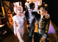 Vic Alonzo Cover Carbs Vienna 2019.jpeg (429 KB) Victoria