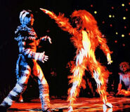 Macavity Fight