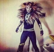 Rum Tum Tugger, RCCL Cast 5