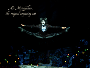 Mistoffelees, UK Tour 2016