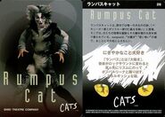 Hitoshi Tsuji as Rumpus Cat