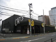 Cats Theatre (Tokyo 2004-09)