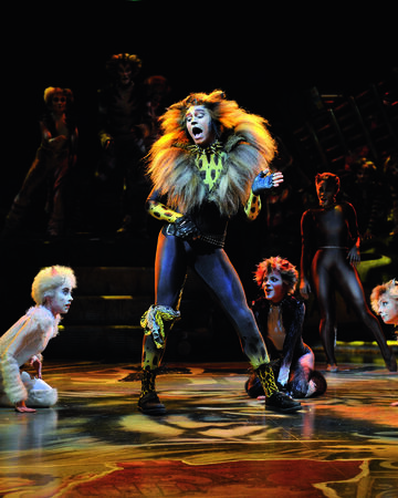 The Rum Tum Tugger Rock Song German Cats Musical Wiki Fandom