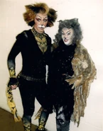 Rum Tum Tugger (cover)