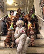 Cats with easter bunnies 2019 us tour