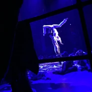 Pas De Deux(the mating dance) US6 1.png (572 KB) Tyler John Logan