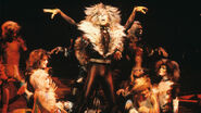 Rum Tum Tugger Broadway 1982