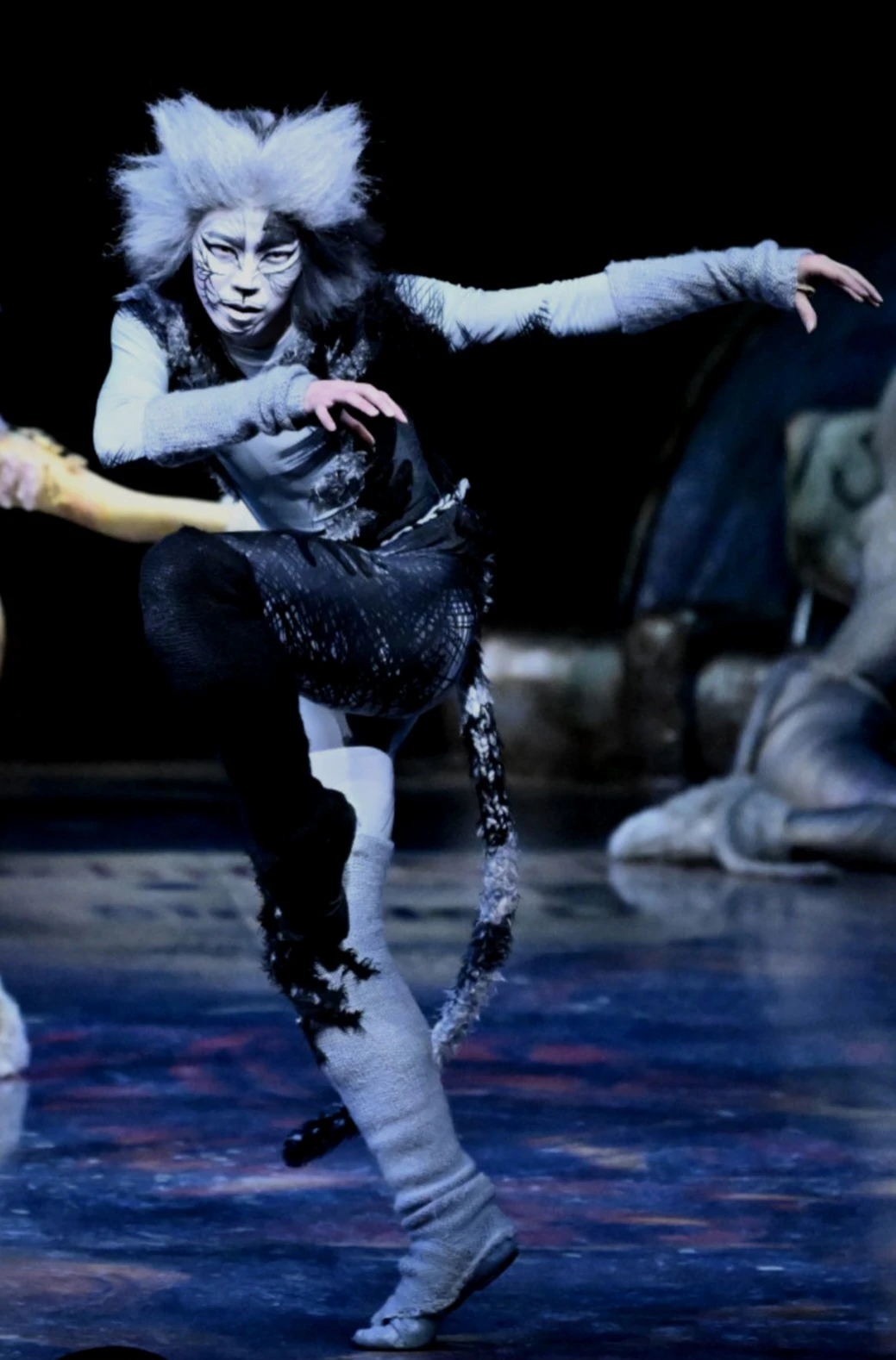Shoyo Kamitani | 'Cats' Musical Wiki | Fandom