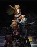 Rum Tum Tugger (cover)