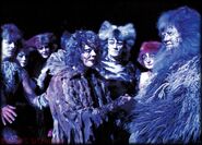 Griz Deut Jacqui Scott Donald Francke l9211 31.jpg (216 KB) Old Deuteronomy, London 1992