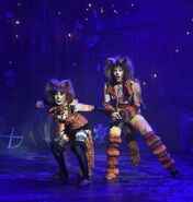 Mungo Rump Julio Mariela Mexico Tour 2019 Performance 1.jpeg (932 KB) Mungojerrie and Rumpleteazer