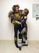 Rum Tum Tugger (cover)