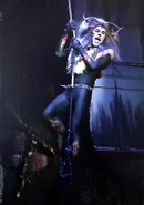 Rum Tum Tugger