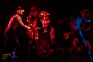 Fulton - Alonzo Schulte - Skimble Flanagan - Mac Binion - Adme Fossum - Munk Linsdell - Tumble Nielson - Tugger Craven.jpg (1.63 MB) Macavity, surrounded by (left to right) Alonzo, Skimble, Admetus (crouching), Munk, Tumble (crawling), Tugger