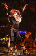 Rum Tum Tugger