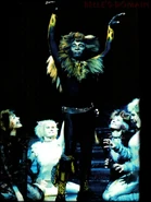 Rum Tum Tugger, London 1996