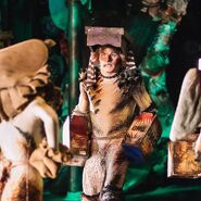 Tumble Pollicle Andrew Wilson Bway17 01.jpg (142 KB) Pekes and the Pollicles