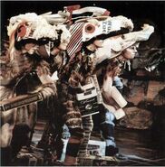 Pollicles 01 Vienna.jpg (35 KB)