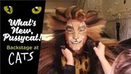 Episode 11 - What's New, Pussycat? Backstage at CATS with Tyler Hanes