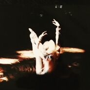 Vic Margorie Hardwick Vienna 1989 2.jpg (93 KB) Marjorie Hardwick, 1989