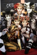 Mistoffelees, 2005