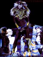 Rum Tum Tugger