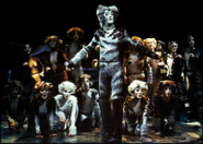 Munkustrap, 1997