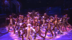 Broadway 2016 Gallery Cats Musical Wiki Fandom