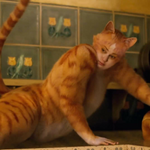 Jennyanydots 2019 Movie Cats Musical Wiki Fandom