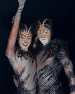 Coricopat
