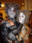 Plato Babygriz Wichita 2007.jpg (70 KB) Plato and young Grizabella